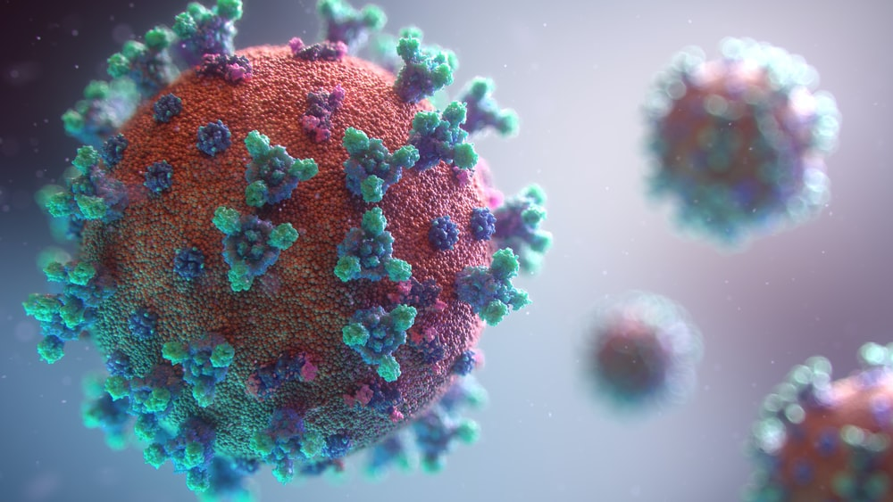 Microscopic image of a virus